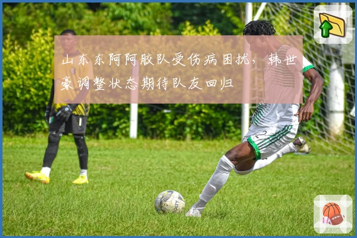 山东东阿阿胶队受伤病困扰，韩世豪调整状态期待队友回归