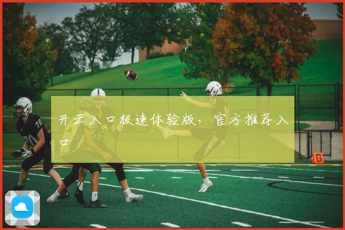 开云入口极速体验版，官方推荐入口