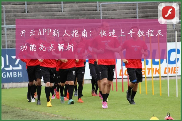 开云APP新人指南：快速上手教程及功能亮点解析