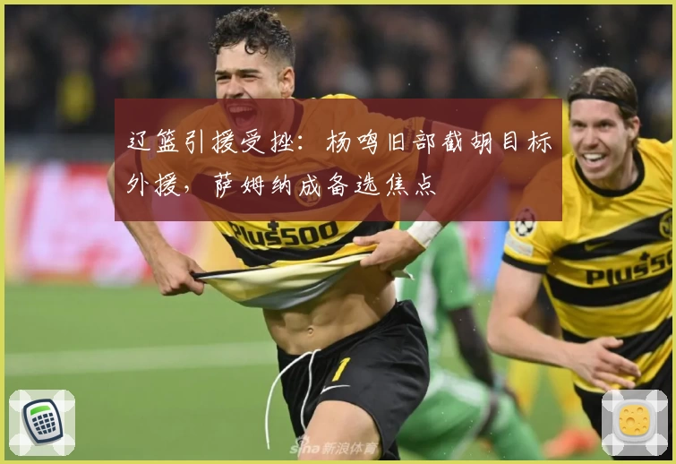 辽篮引援受挫：杨鸣旧部截胡目标外援，萨姆纳成备选焦点
